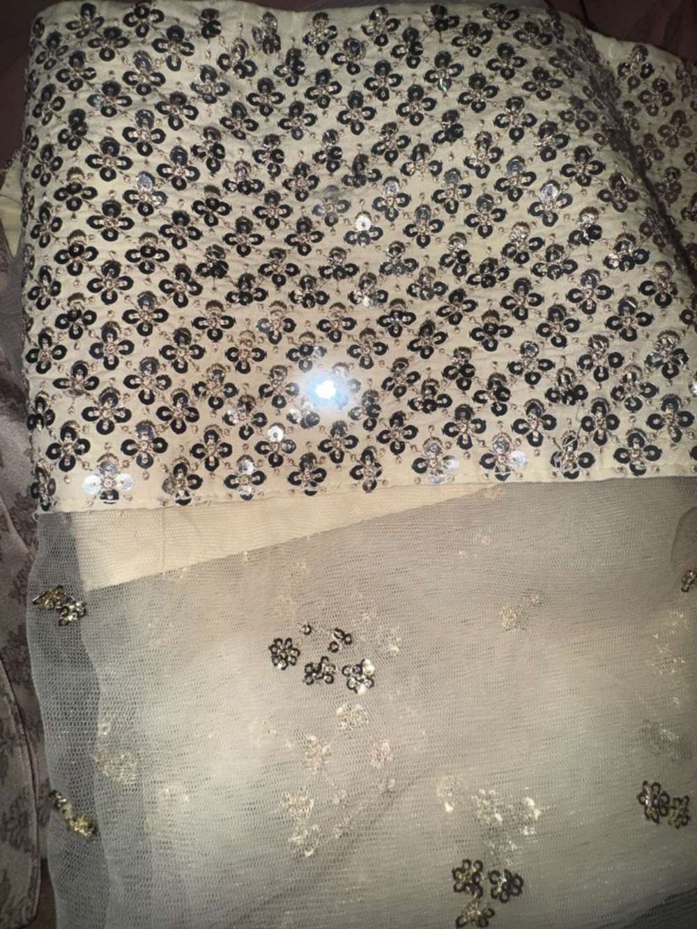 Ethnc Luxe Boutique collection 2026 Pakistani Indian  farshi shalwar - Picture 6 of 11